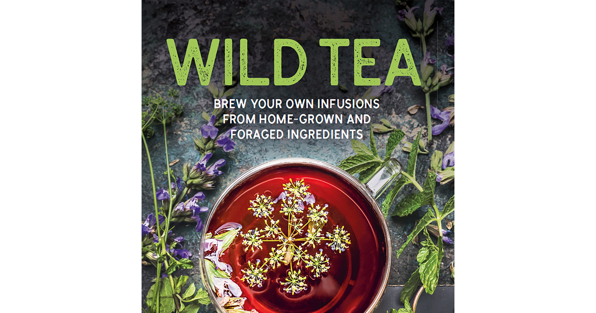 Wild Tea: Brew Your Own Infusions from Home-Grown and Foraged Ingredients new ne