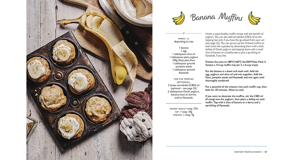 Thumbnail: Tasty Treats for Happy Dogs new book a new book
