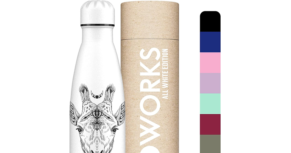 Thumbnail: Proworks Stainless Steel Water Bottle, BPA Free Vacuum Insulated Metal Water Bot