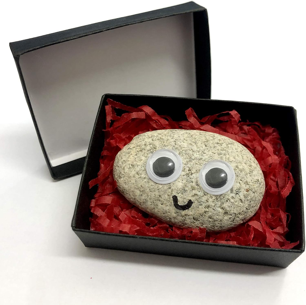 Thumbnail: Pet Rock - Novelty Gift Idea - Ideal for Birthday Presents, Wedding Favours, Par