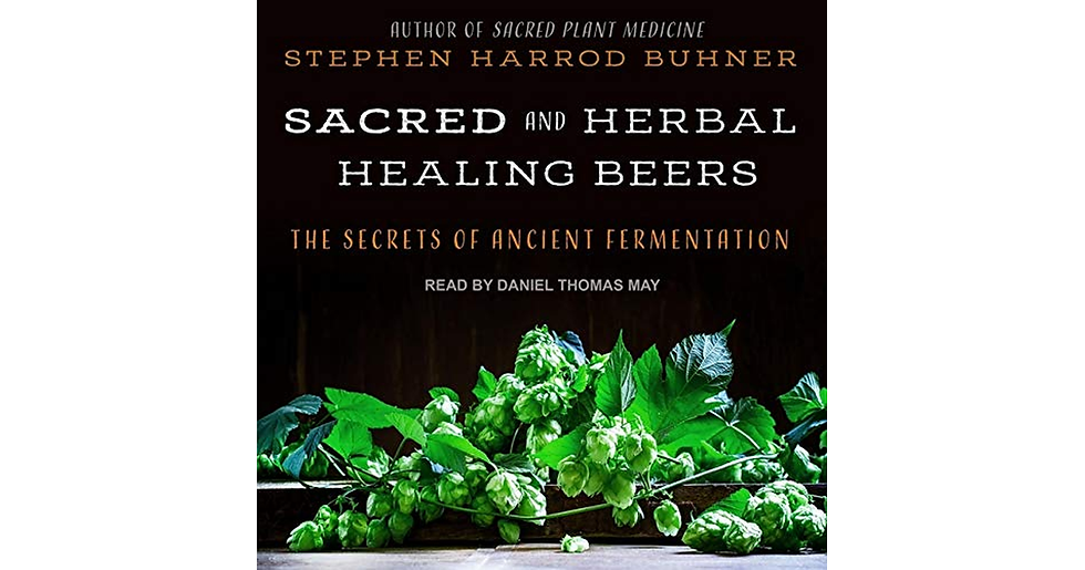 Thumbnail: Sacred and Herbal Healing Beers: the Secrets of Ancient Fermentation NEW BOOK