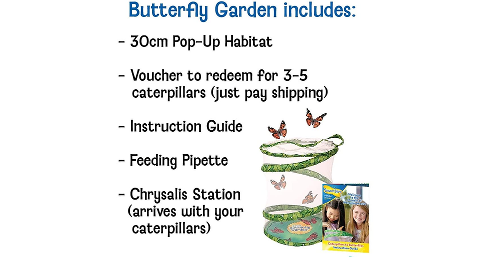 Thumbnail: Insect Lore Butterfly Garden (Packaging May Vary)