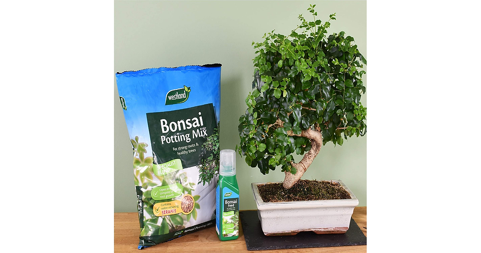 Thumbnail: Westland 10200055 Bonsai Potting Compost Mix and Enriched with Seramis, 4 Litre,