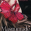 Thumbnail: Masquerade Masquerade .