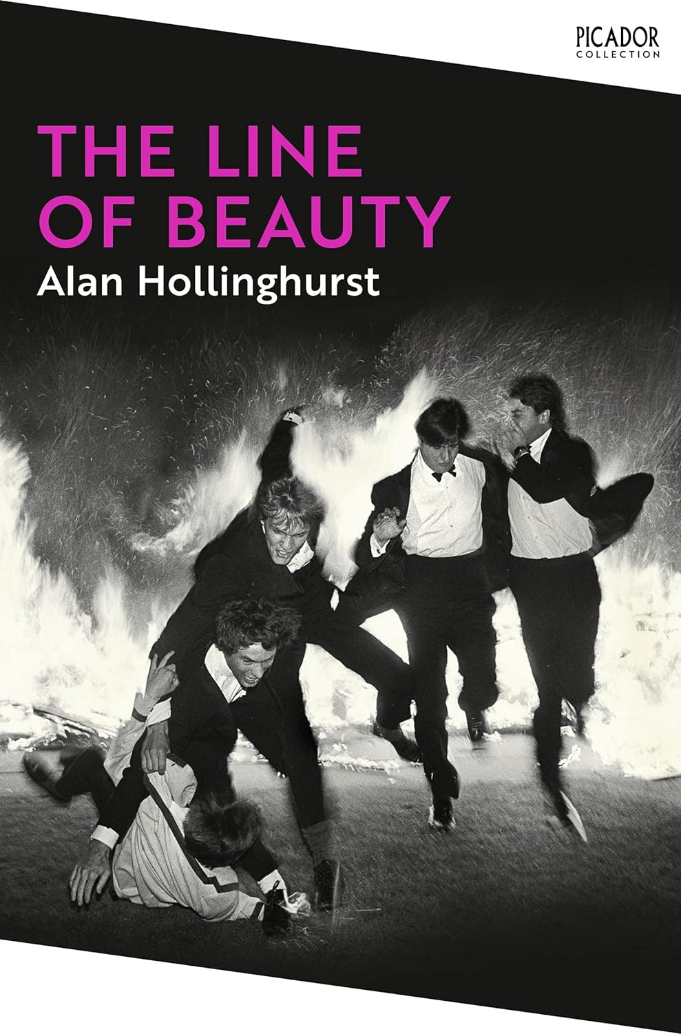 The Line of Beauty: Winner of the Man Booker Prize (Picador Collection, 4) the N