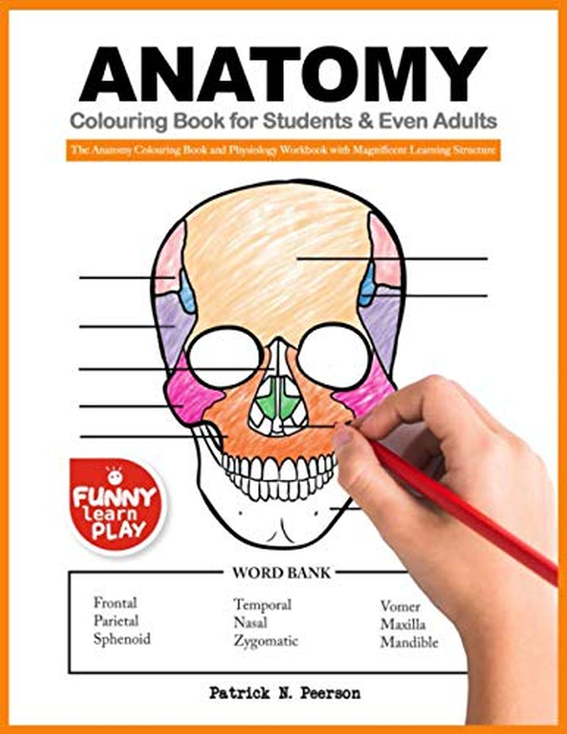 Anatomy Colouring Book for Students & Even Adults: the Anatomy Colouring Book an