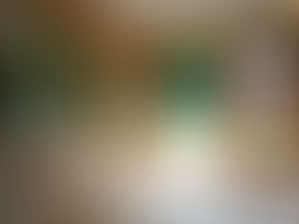 Dutch Doors by Hawkeye- Perfectly style your home