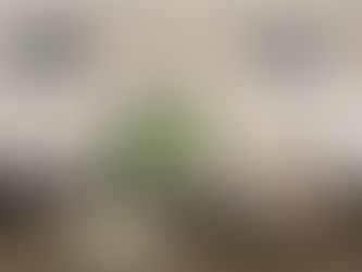 Complete Guide to Sun Screen Shading Devices