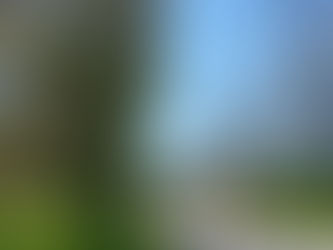 LUCA OF BERRYLAND UND MARIA ÜBEN FLEIßIG , BEI DIESEM FRÜHLINGSWETTER !