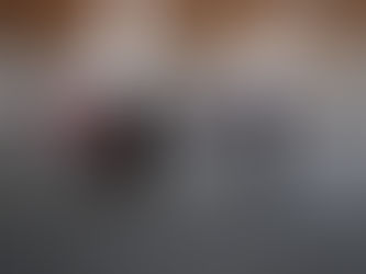 NATIONALE HUNDEAUSSTELLUNG KARLSRUHE 2016 MIT IRON MIGHTY MO OF BERRYLAND !