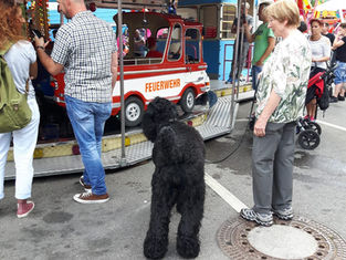 Tagesausflug für Donja - Dalijah Chornaya Ten !