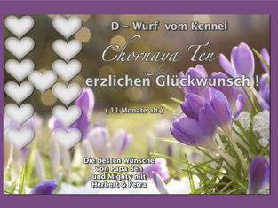 Herzlichen Glückwunsch !!