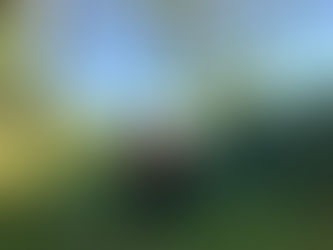 September 2020