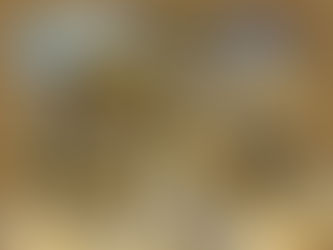 Wir wünschen Euch einen schönen 2. Advent !