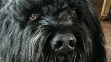 Unser Schatz Ben muss immer herhalten .......!!!!