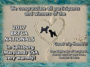 Congratulations to all winners !