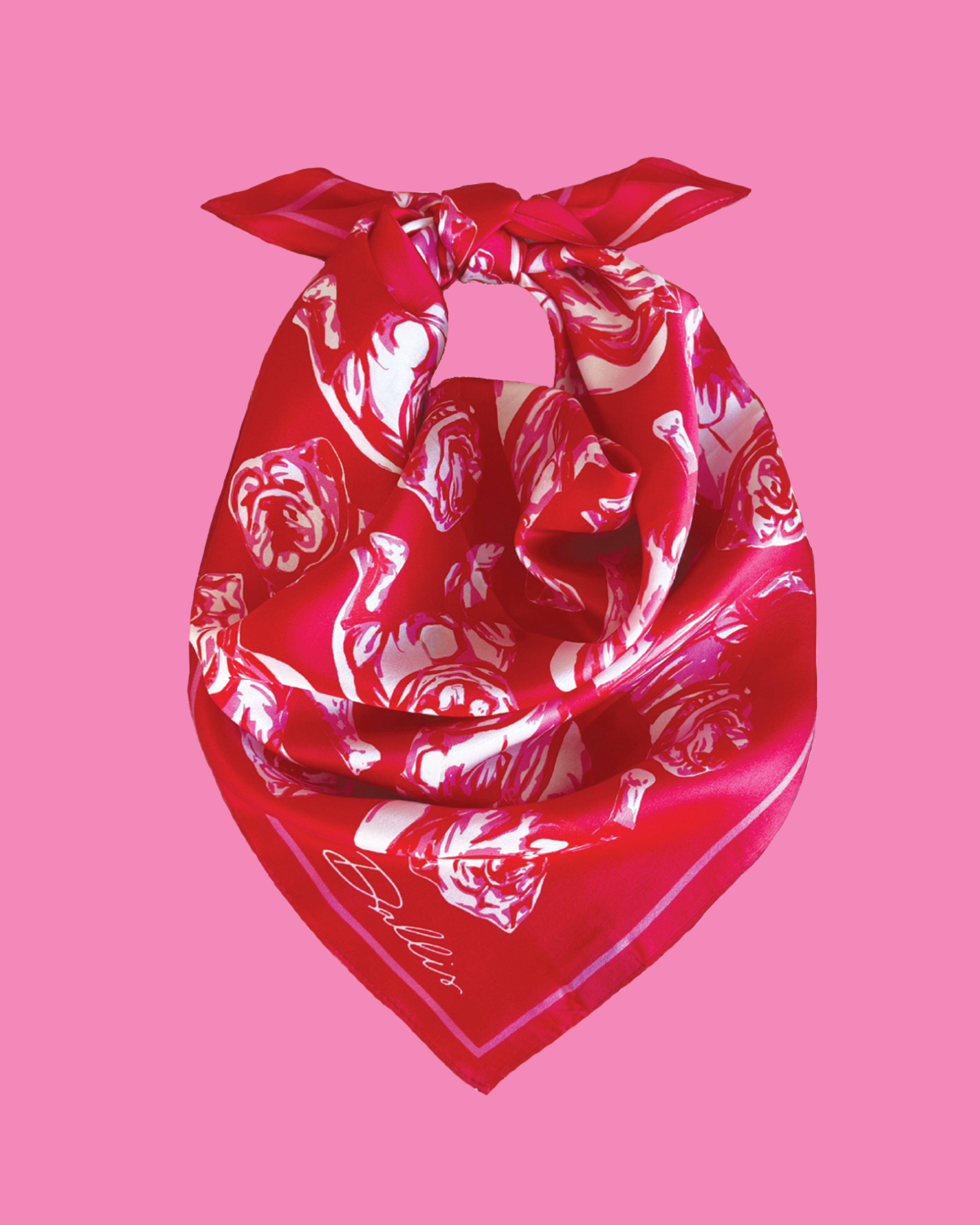 Sic 'Em Gameday Scarf | Red & Pink