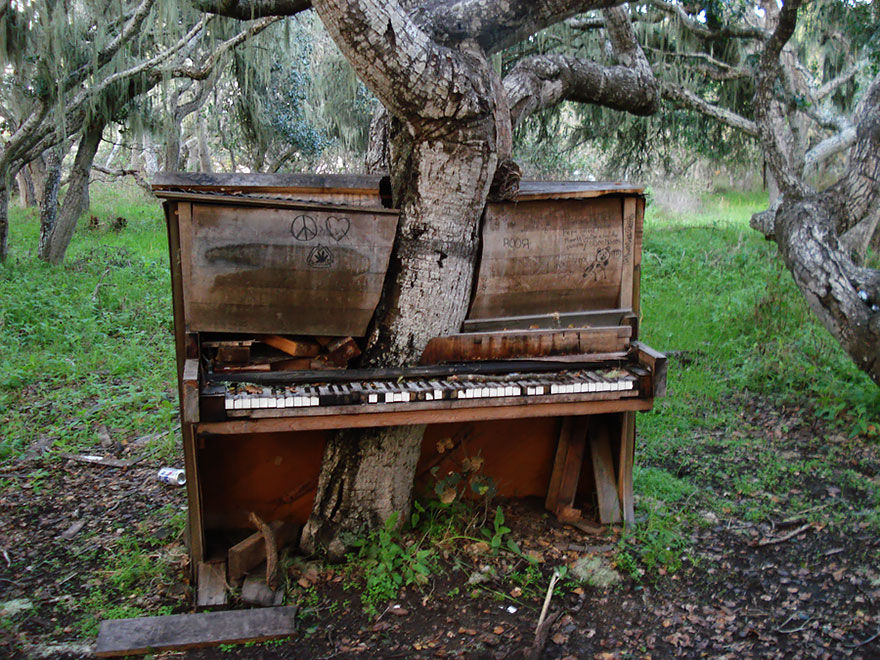 nature-reclaiming-abandoned-places-11.jpg