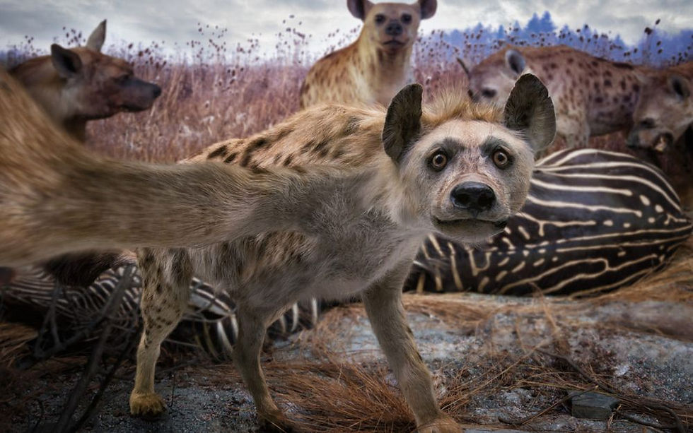 Clever-Photo-Manipulations-by-John-Wilhelm02.jpg
