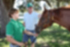Two people with a chestnut horse under a tree. One, in a green shirt, holds the horse's lead; the other, in a cap, pats the horse's head.