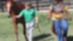 A person in green leads a brown horse, walking with another in a "Buffalo Soldiers" shirt. They're outdoors near a wooden fence on grass.
