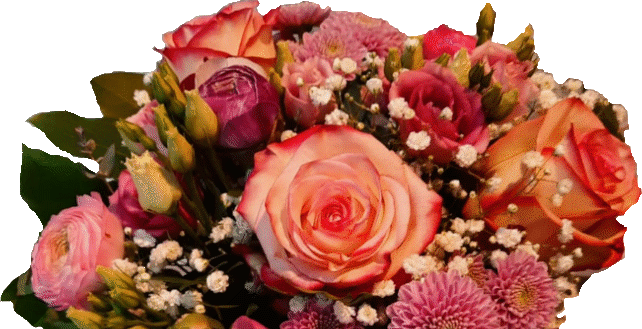Titelbuíld Blume 5 gif.gif