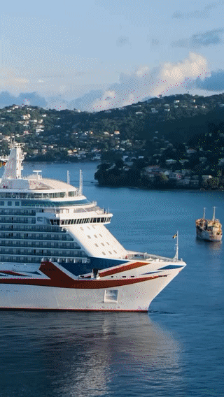 Cruise activities.gif