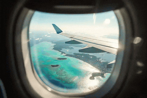 Plane View.gif
