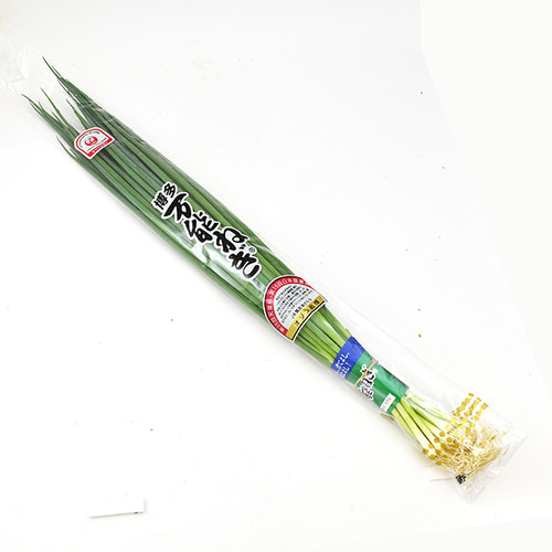 博多 萬能蔥 万能葱 Hakata Bannounegi Spring Onion 100g | Pirineko 辣喵