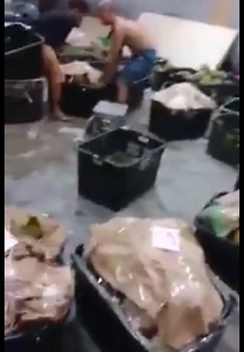 Durian wholesale center