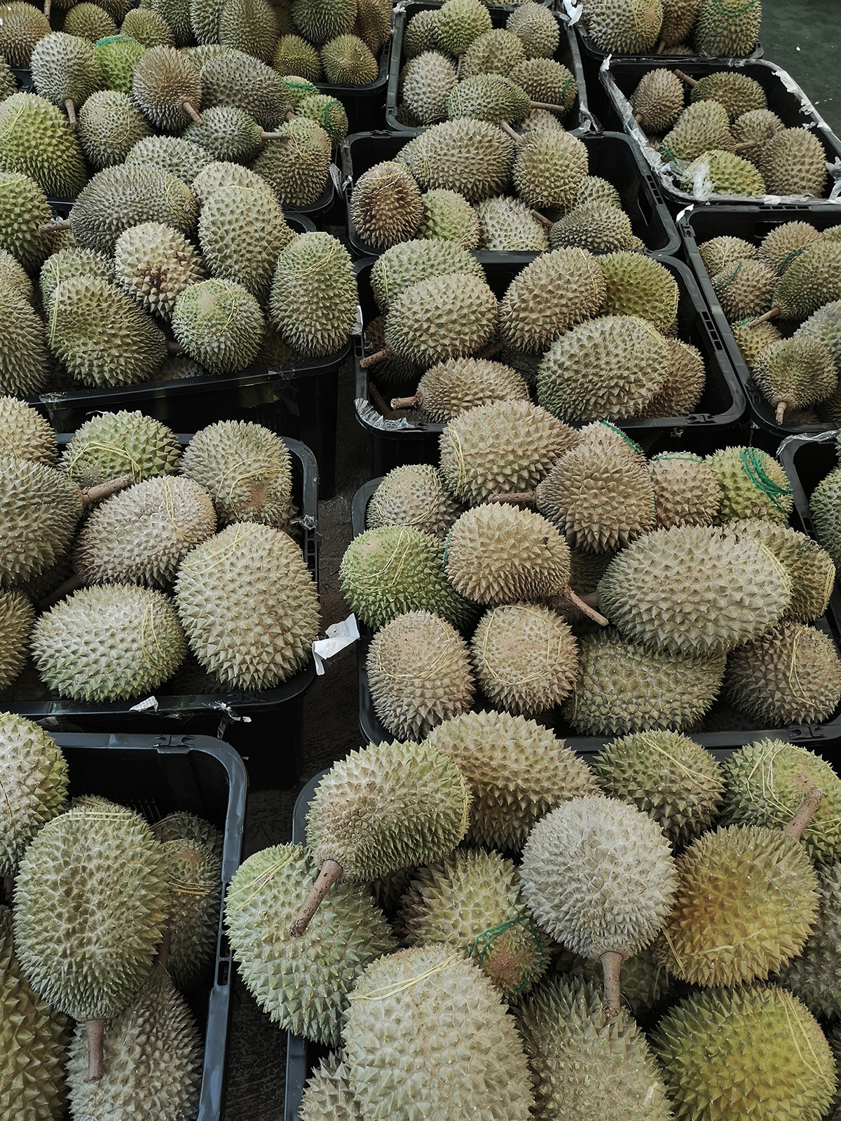 Just lots of durian