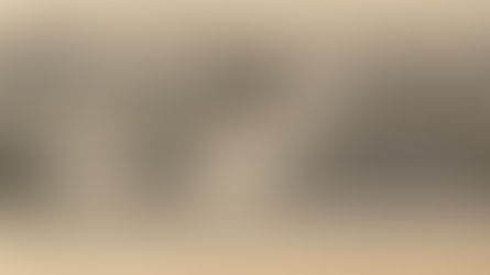 Dimanche, le 28 janvier 1917 - UFCA au Trocadéro