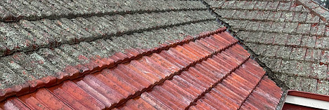 Roof Cleaning 1.jpg
