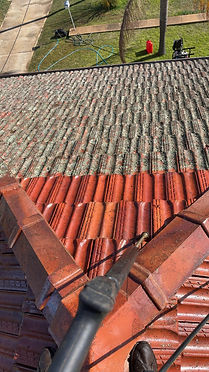 Roof Cleaning 6.jpg