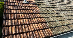 Roof Cleaning 10.jpg