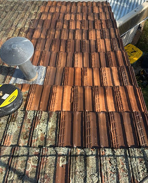 Roof Cleaning 12.jpg