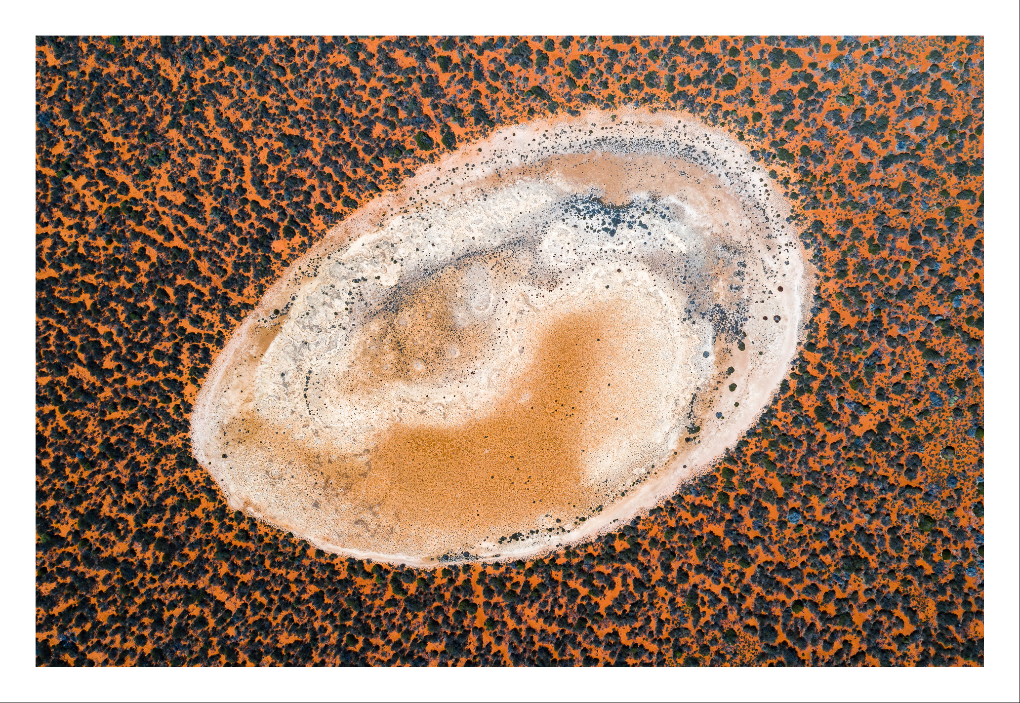 An abstract aerial view of Shark bay ,Western Australia