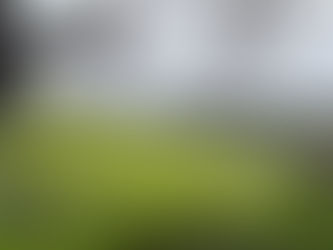 Shinchakoku Ikkoku ② March 31, 2026