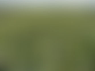 Shinchakoku Ikkoku ① March 23, 2026