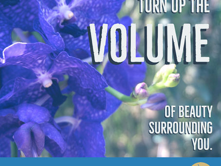 Find that volume control!