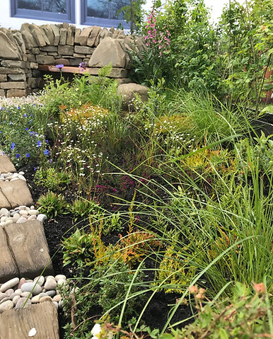 Illustrative image of planting design work