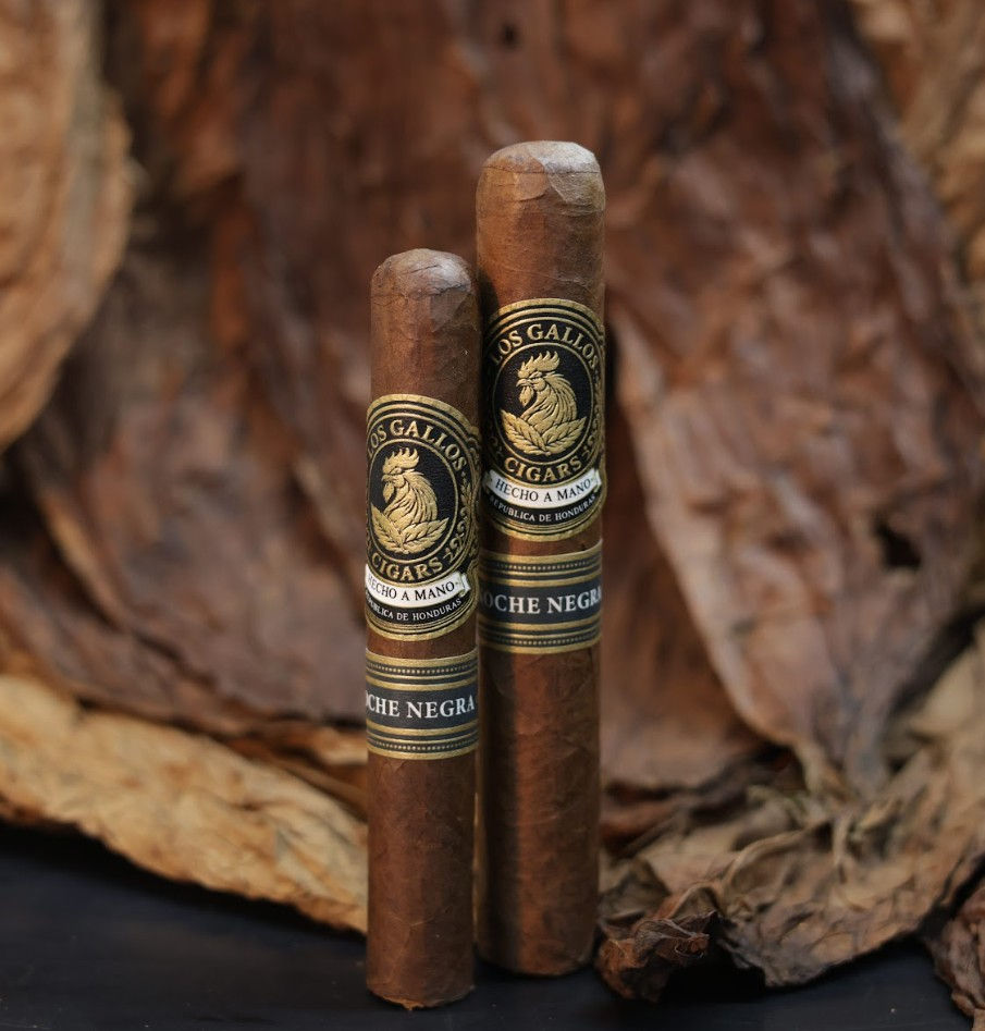 Noche Negra Gordo Robusto.jpg