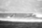 4G3A1947_edited.jpg