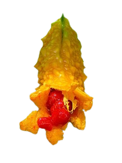 Momordica_charantia_007-removebg-preview.png