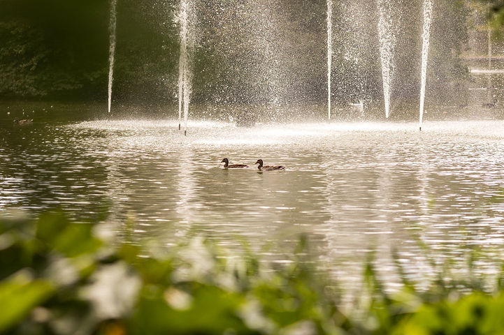 Jephson Gardens in Leamington Spa