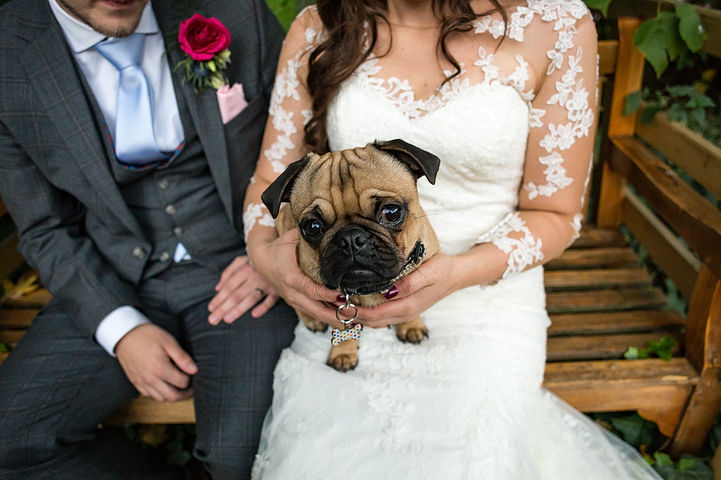 Bride and groom with pet dog at Birtsmorton Court