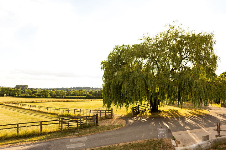 Countryside field views at Crockwell Farm