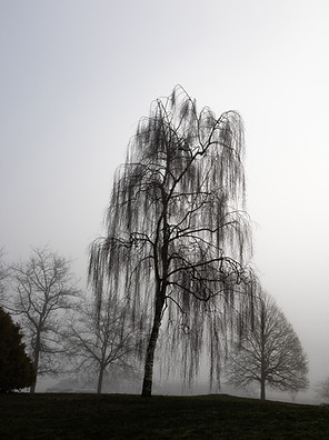 16.-Silence.jpg