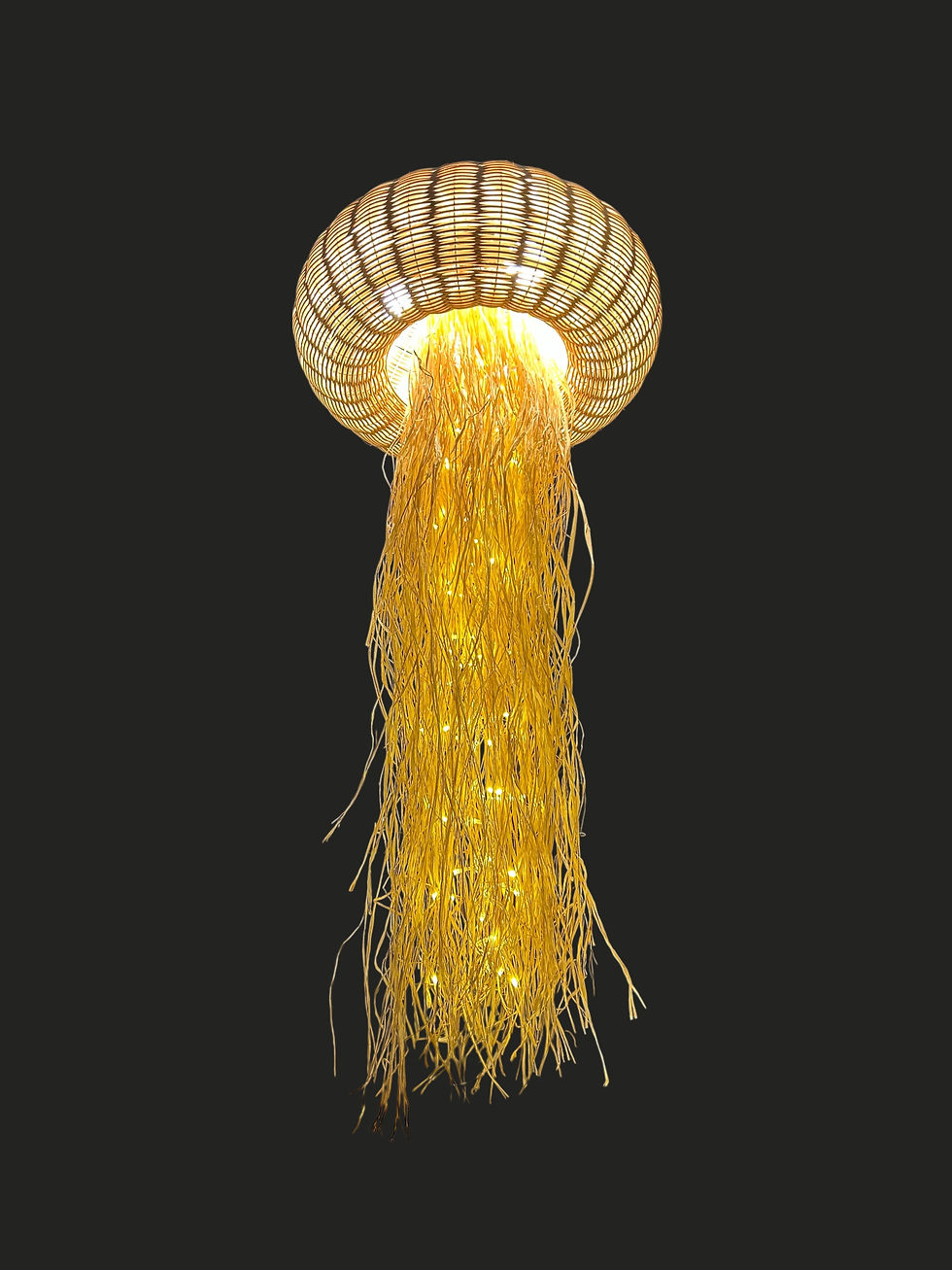 Küçük resim: Ozmo Rattan Denizanası Sarkıt