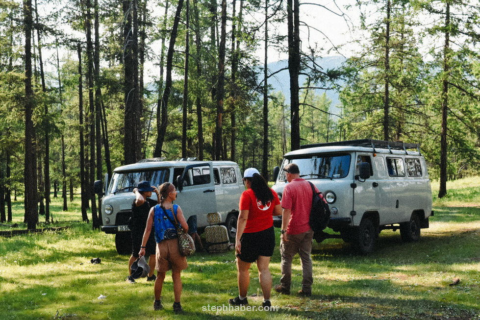 Two vintage vans parked in a forest setting.